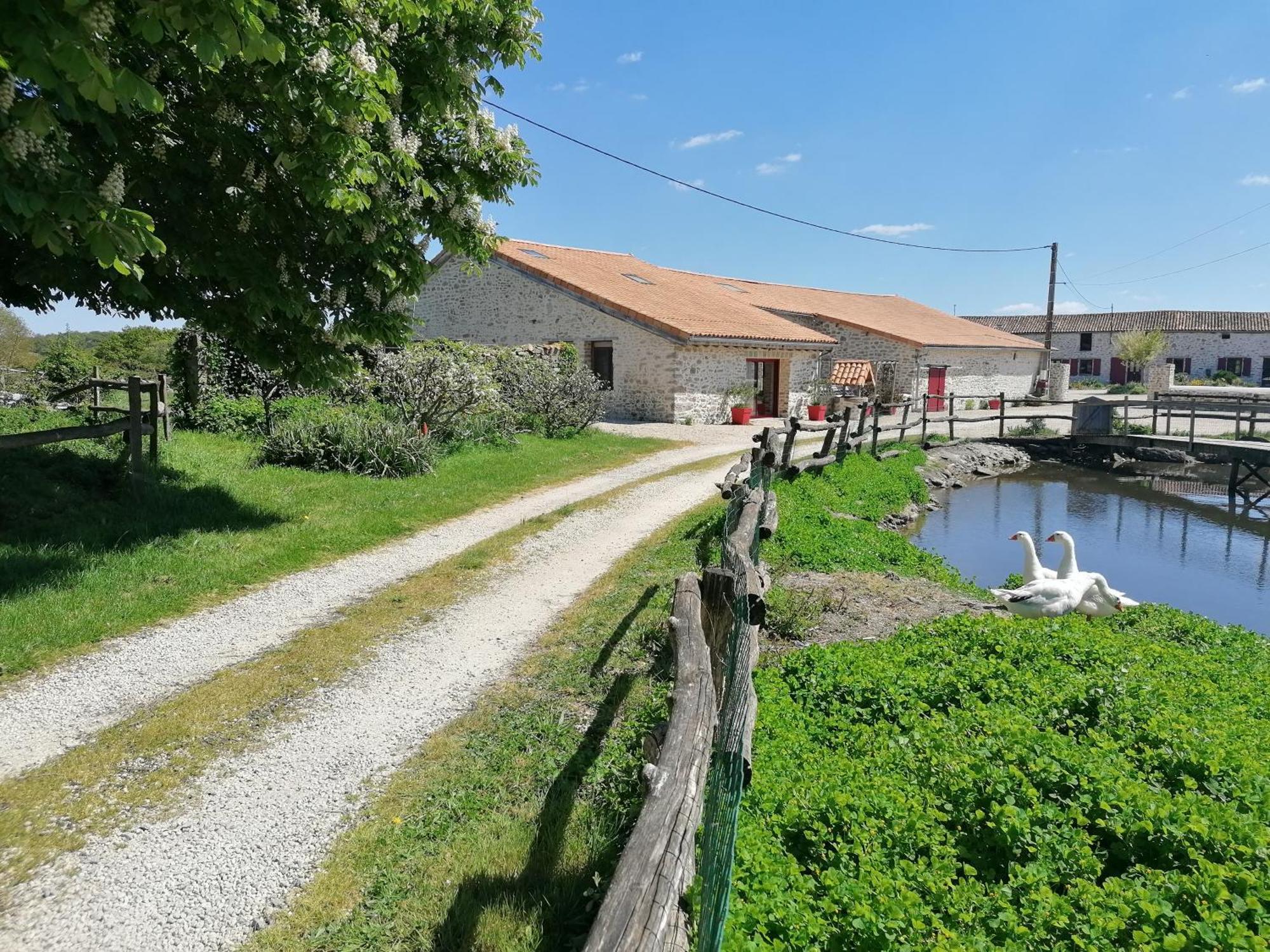 Ferienhaus Le Marronnier - - 10 Personnes - A La Campagne A 3 Kms Du Centre-ville *